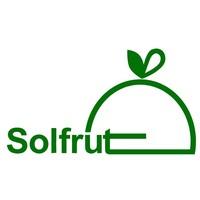 Solfrut